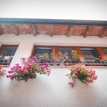 Adna & Amna Apartment サラエヴォ エクステリア 写真